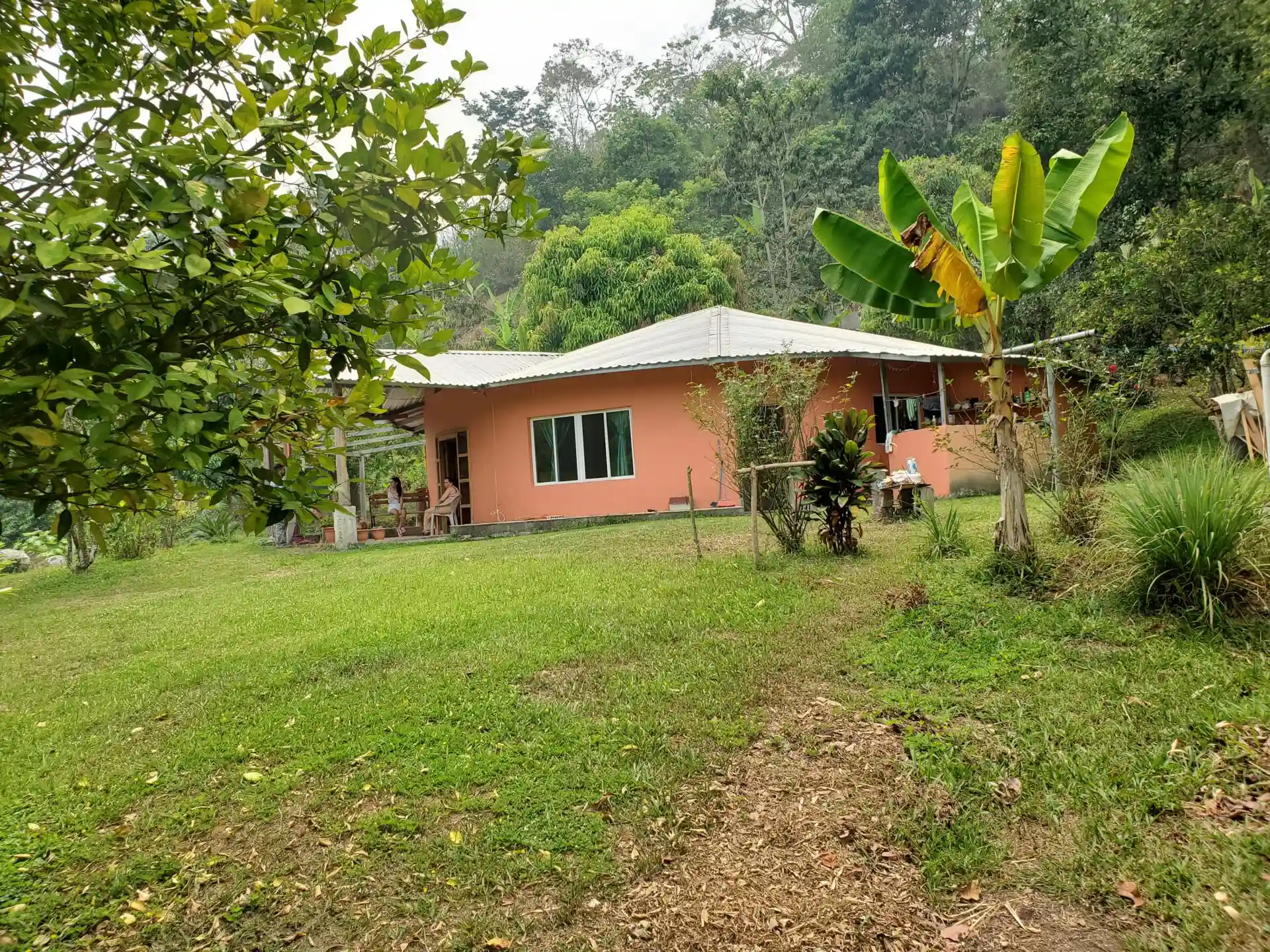 A house near a forest with a garden in front